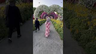 Miracle garden Dubai#shortvideo #shortsfeed #dubai #garden