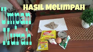 Resep Alternatif Racikan Umpan Kukus