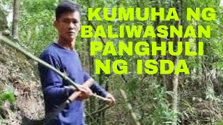 KUMUHA AKO NG BALIWASNAN NA KAWAYAN PANGHULI NG ISDA