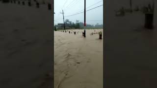 Banjir di Sutojayan Blitar