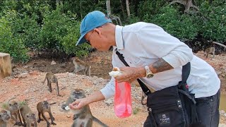 GARANG DENGAN RAKYAT DIA SENDIRI// SEEKOR KETUA MONYET //