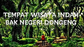 Tempat Wisata Indah bak Negeri Dongeng di Indonesia