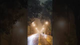 barsat ke din aaye mulakat ke din aaye🌧️🌧️🌧️🌩️🌩️🌩️ #status #bewafa #viral