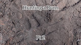 Hunting a Burn Pt 2