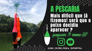 A pescaria mais difícil que já fizemos! Será que o peixe decidiu aparecer ? -PESQUEIRO 3 irmãos