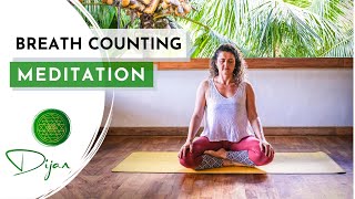 Prep for Meditation | Concentration | Breath Counting Meditation