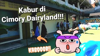 Cimory Dairyland Prigen