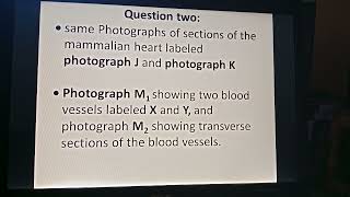 2010 Essential Requirements for Biology Practical Paper!!