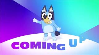 Disney Channel USA - Coming Up - New Bluey Minisodes