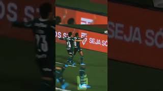 RONY PALMEIRAS EDIT GOL NA SP