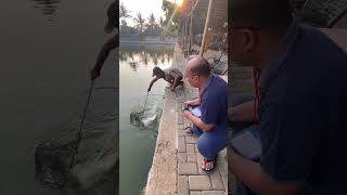 Semakin sore semakin asik #trending #viral #subscribe #mancing #video #like #shortvideo #shere