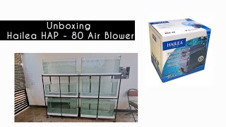 Unboxing Hailea HAP - 80 air blower@smaquagarden