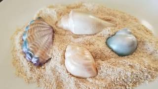 Chef Mitchie's White Chocolate Seashells