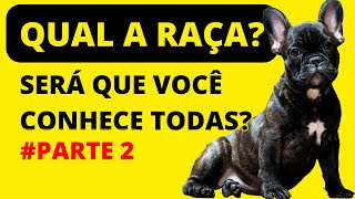 🐕QUIZ ANIMAL | ADIVINHE QUAL É A RAÇA DO CACHORRO | PARTE 2 | Teste seus conhecimentos | PARTE2