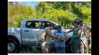 JORNADA DE LIBERACIÓN DE AVES