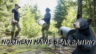 Come Bear Baiting With Us | Baiting Black Bear in Northern Maine