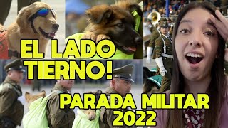 ✅ REACCION a PARADA MILITAR CHILE 2022: CARABINEROS! *DESFILARON PERRITOS* ❤️🤗