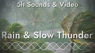 Long Rolling Thunder Sounds of a Tropical Rainstorm (5 hrs of relaxing sound and video)