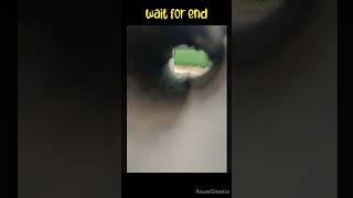 wait for end