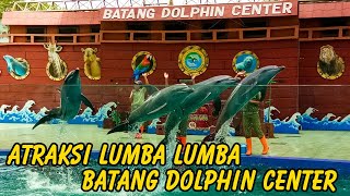 Pertunjukan Atraksi Lumba Lumba | Batang Dolphin Center