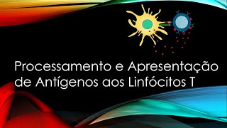 Processamento e Apresentação de Antígenos aos Linfócitos T / Ativação das células T / MHC