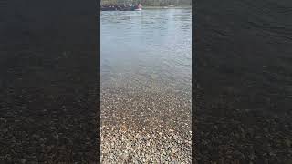 ein #schiff mit Bak fährt zu Berg auf dem #rhein  Teil 4  #shortsvideo #shorts