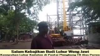 Pantai Plengkung TN Alas Purwo Siaga Satu Kerusakan Alam