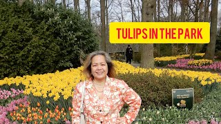 KEUKENHOF HOLLAND ( World famous spring flower park)