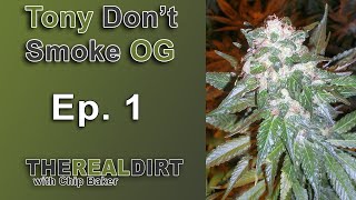 Tony Don't Smoke OG Ep. 1 [TRD Series]