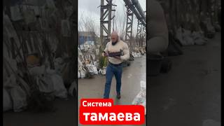 Система тамаева#tamaeev #ислам #islam #muslim #shortsmuslim #умма #shortstop #духовность