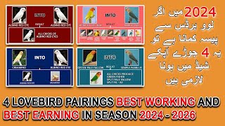 2024 ME YE 4 PAIRS APKE PASS HONA LAZMI HAIN | DISCUSS 4 PAIRINGS BEST EARNING & BEST WORKING | AABI