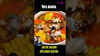 sayur asem jagung apa anak kucing #food #kulinerfood #streetfood