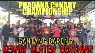 MAIN KE GANTANGAN PRADANA CANARY CHAMPION | Gantang Bareng KOMUNITAS KENARI KLATEN BERSINAR