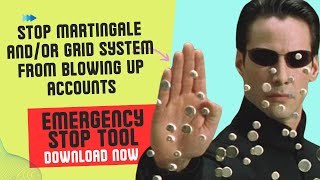 Protect Your Forex Account: Download our MT5 Emergency Stop Tool Against Grid Martingale Blowups