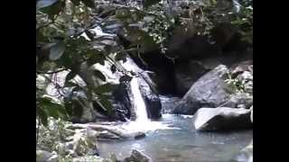 El-Yunque, Tropisch Regenwoud. Nog wat restant-beelden :o)