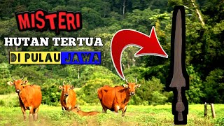 Misteri hutan tertua di pulau jawa || nusantara