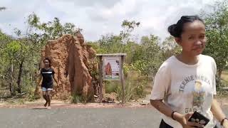 BOMI SAI| RUMAH RAYAP UNIK YANG ADA DI TAMAN NASIONAL WASUR| MERAUKE🥰