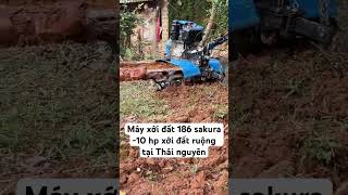 Máy xới đất 186 sakura -10 hp xới đất ruộng tại Thái nguyên #điệnmáythuầnlinh #trauvangtuyenquang