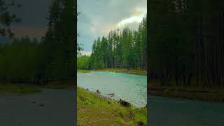 River #shorts #youtubeshorts #viral #viralvideo