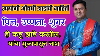 ही कडू पाने खा पित्त, उष्णता, शुगर कमी - dr swagat todkar | उपयोगी वनस्पती माहिती