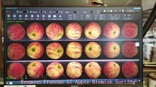 Reemoon newest Fruscan S7 scanning and sorting effect of apple blemish