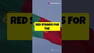 What Does the Portugal Flag Symbolize #shorts #ytshorts #facts #flags #portugal  #viralvideo