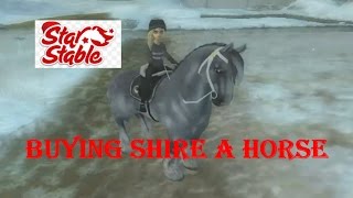 {♥}Star Stable Online{♥) Buying a Shire Horse