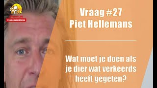 Vraag #27 DierenLot - Piet Hellemans - Wat moet je doen als je dier iets verkeerds heeft gegeten