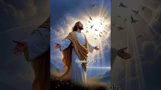 Krus ko uthaya hai, ✝️ Jesus #status #video 🙏⛪🙏