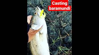 casting baramundi pake softlure luar biasa