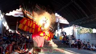 SOLAH PEMBARONG DADAK MERAK REOG PONOROGO SINGO NDARU MANUNGGAL#dadakmerak #pembarong #reogponorogo