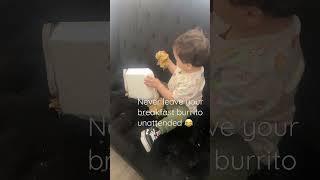 Never leave your breakfast burrito, unattended #momlife #funnytoddlers #boymom