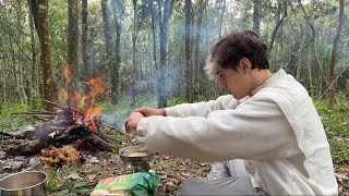 Acampando na Floresta 🌲