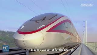 China develops high speed train to run on different rail systems